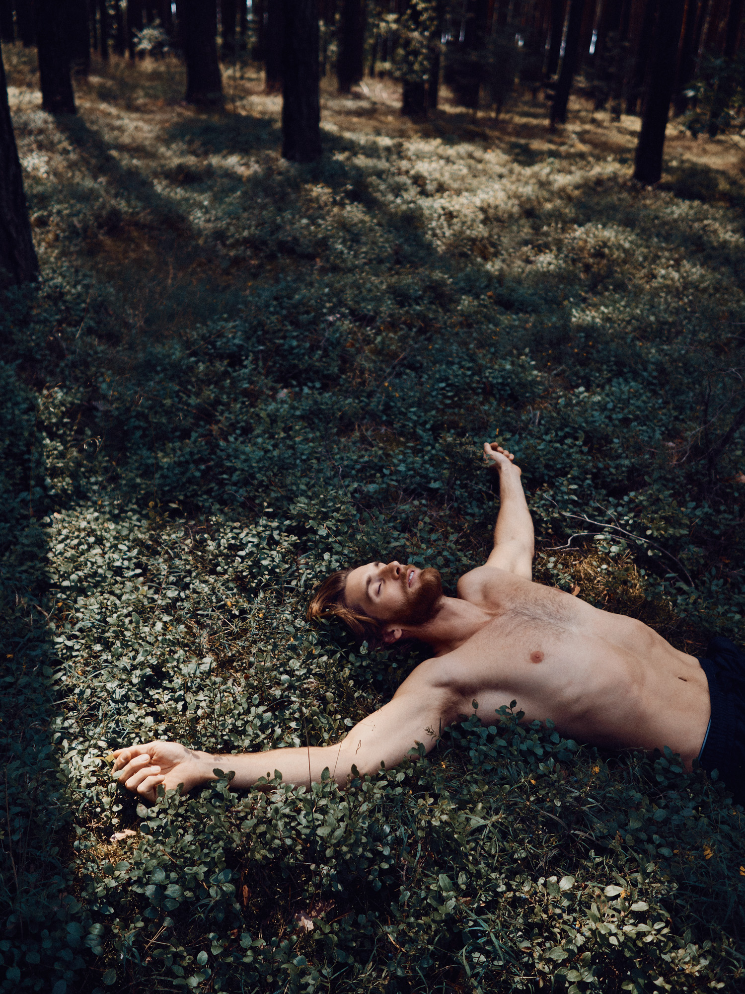 nudity forest trees wanderer