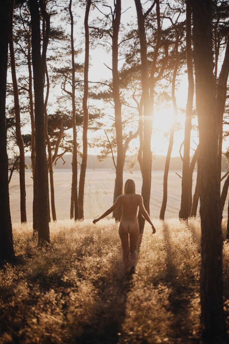 nudity forest trees wanderer